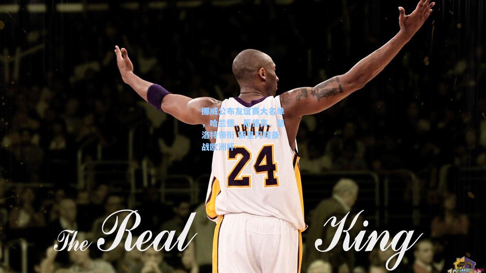 澳客官方网：挪威公布友谊赛大名单，哈兰德、厄德高、瑟洛特领衔 新星闪耀备战欧洲杯