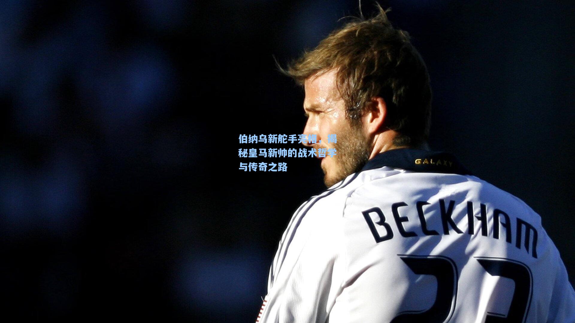 伯纳乌新舵手亮相，揭秘皇马新帅的战术哲学与传奇之路